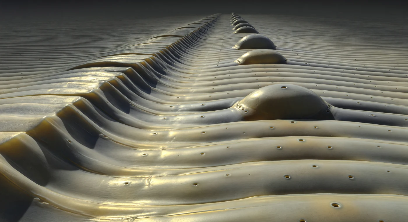 You stand on a surface that extends to every horizon as a vast corrugated plain of pale gold and burnished pewter, each circumferential annulation ridge rolling smoothly from crest to shadow-filled valley in relentless parallel sequence, the rounded summits catching a cold oblique light that arrives like starlight filtered through a metallic atmosphere, casting architecturally precise black shadows that reveal every micropore and surface texture with the precision of a geological survey instrument. This is the outer cuticle of a nematode — a pressurized hydrostatic exoskeleton of extraordinary biochemical complexity, built from a multilayered extracellular matrix of collagens, cuticlins, and lipid membranes secreted by the living hypodermis pressing against it from within, the whole structure held taut by internal turgor and functioning simultaneously as armor, sensory interface, and locomotor skeleton. To the left, the lateral alae rise as a true mountain range — a continuous longitudinal fin of biomechanical reinforcement running the length of the body, its summit plateau carrying finer striations that glow a fractionally warmer gold under raking illumination, casting a long hard shadow across the nearest valley and amplifying the otherwise horizontal world's only dramatic vertical relief. Near the anterior horizon, blunt dome-shaped cephalic sensilla papillae push upward from the corrugated plain like half-buried monoliths, each capped with a single specular micropore marking the external opening of an amphid or papillary neuron — sensory instruments measuring chemical gradients, osmolarity, and mechanical contact in the viscous water films where this animal spends its life. The entire landscape is absolutely still and sharp, the biological material reading as something between polished bone and oiled pewter, warm and organic at the ridge crests yet mineralic and cold in the valleys, reminding the eye that beneath this sculpted surface an entire animal breathes, feeds, and moves.