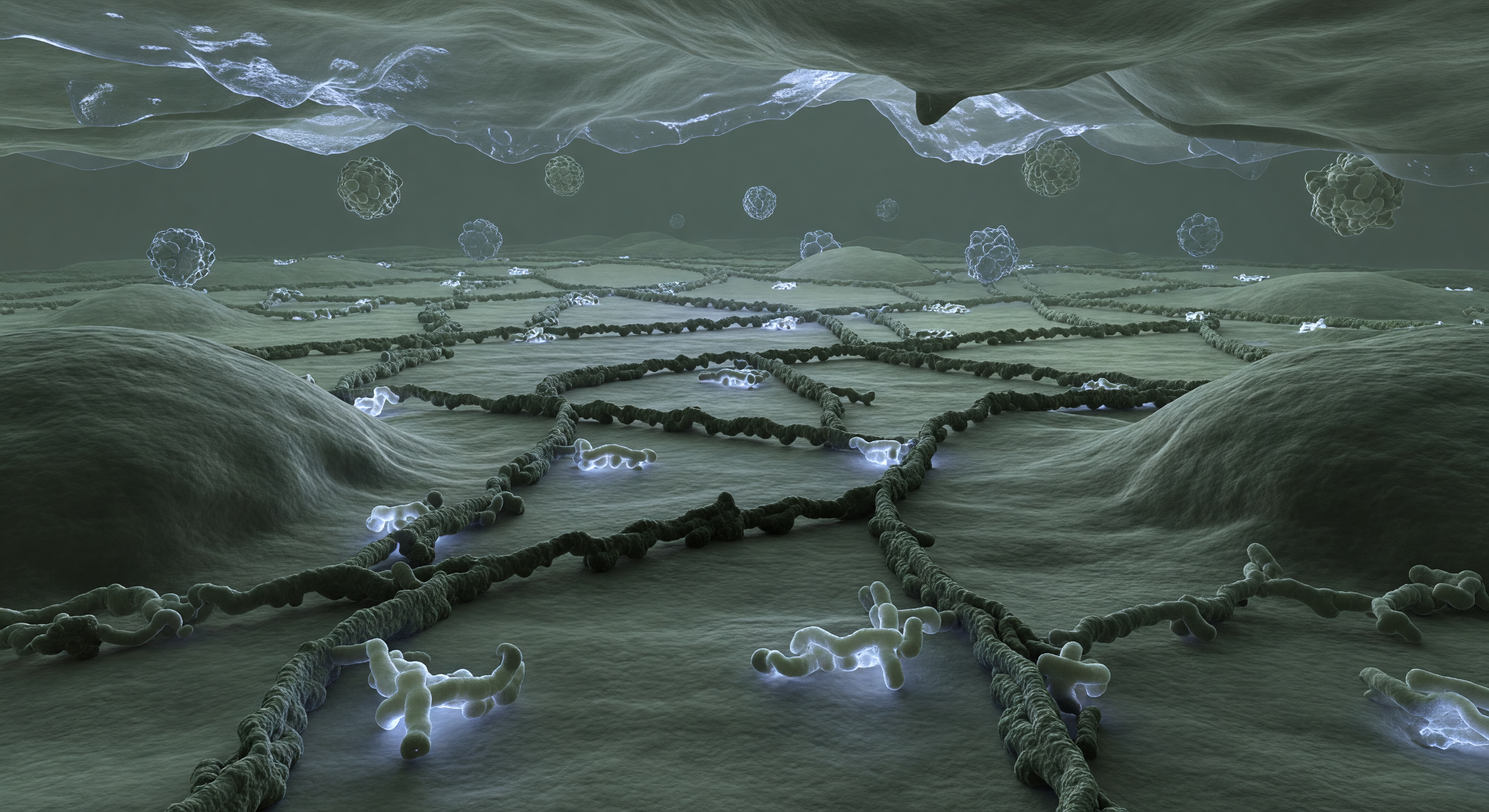 Poxvirus Brick Surface Ridge Walk