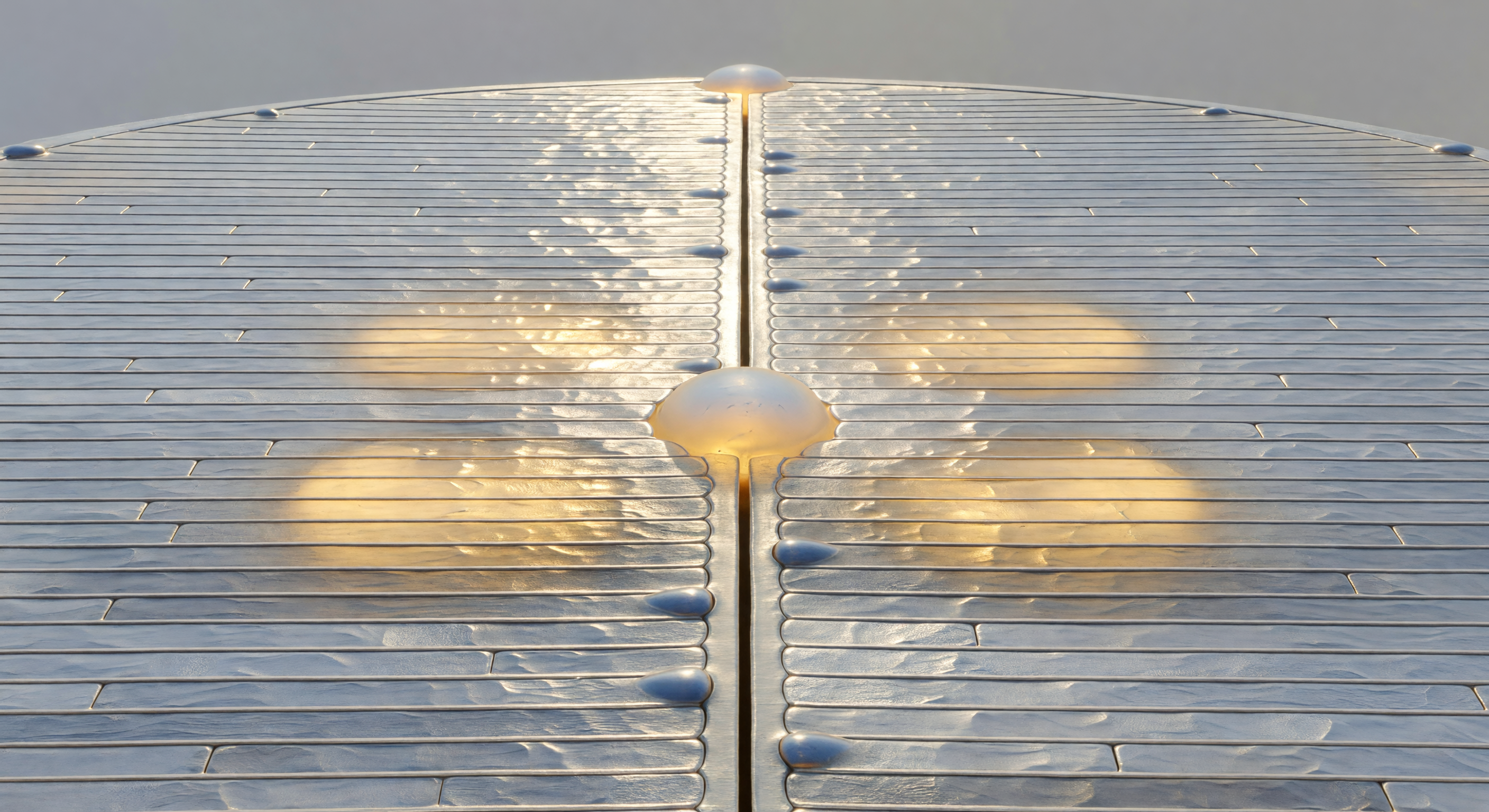 Pinnularia Sculptured in DIC Relief