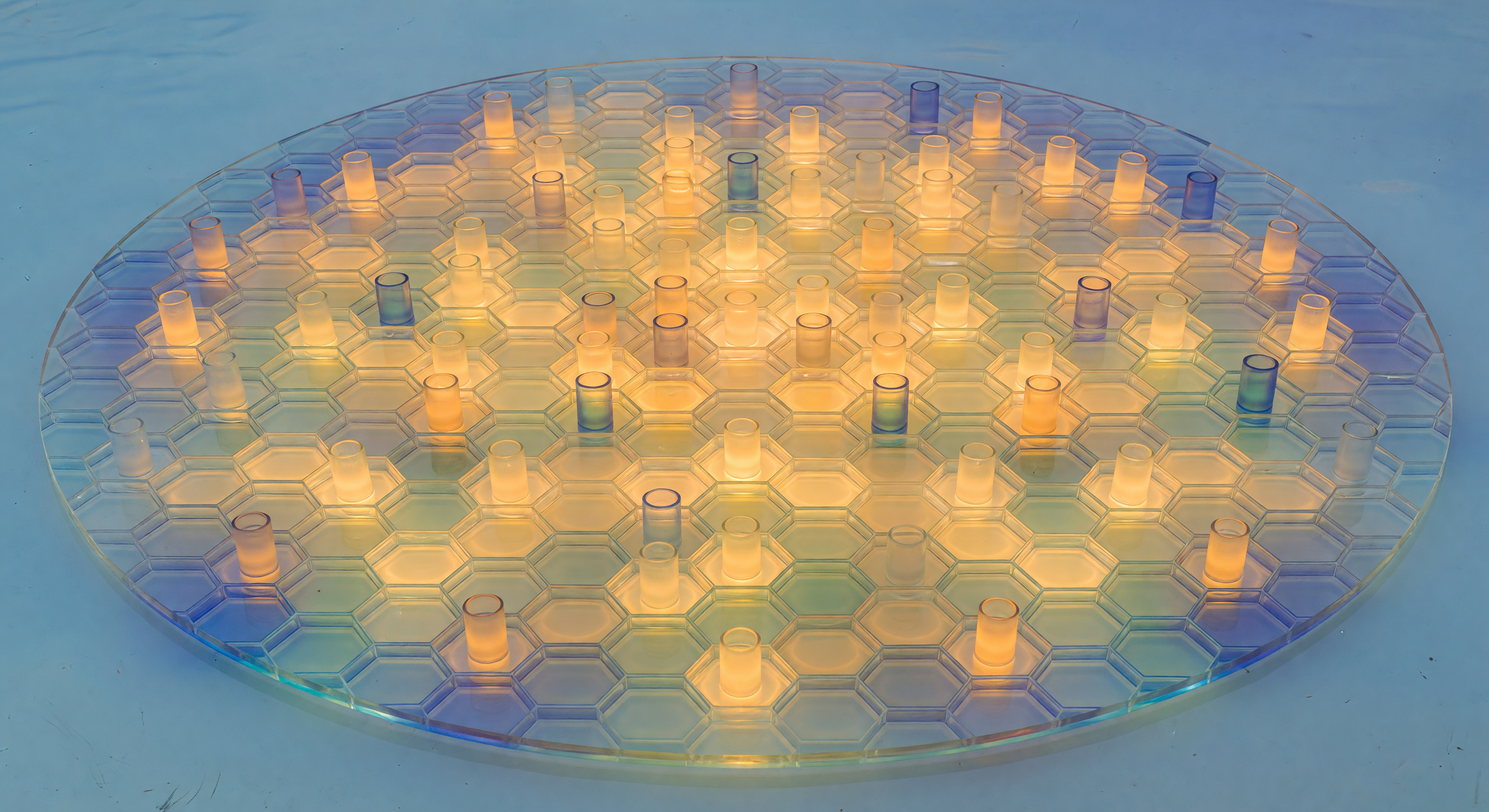 Coscinodiscus Valve Cathedral Below