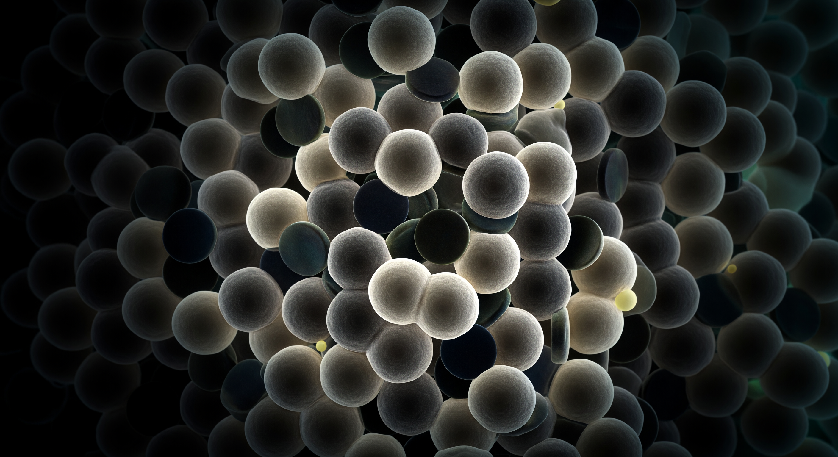 Inside the Hydrophobic Core