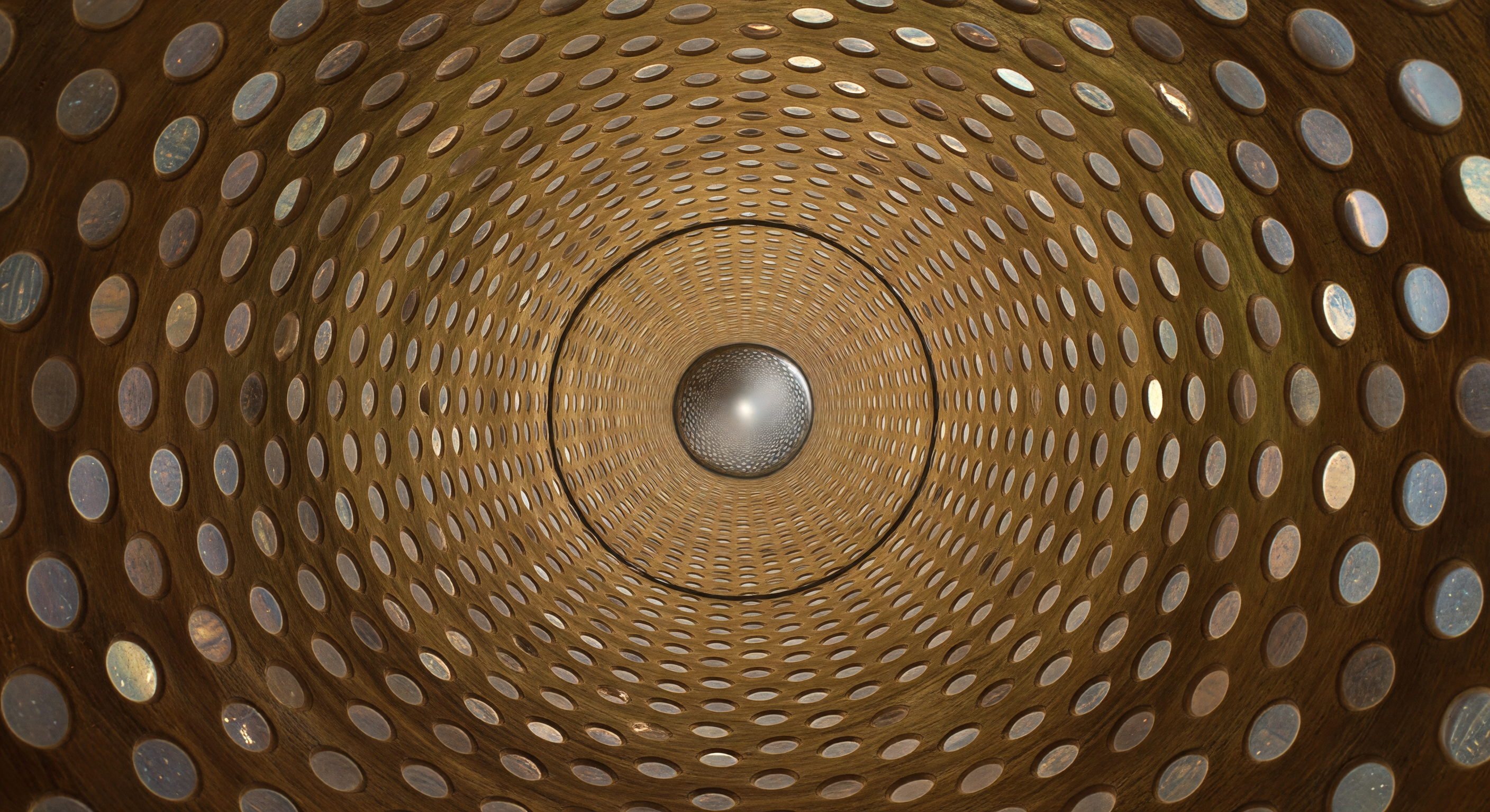 Galleria delle Punteggiature Xilematiche