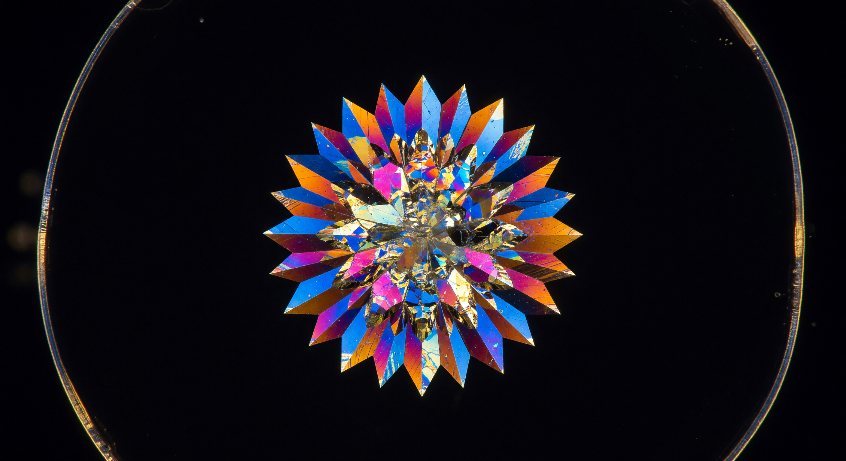 Druse Kristal Gepolariseerd Vacuole